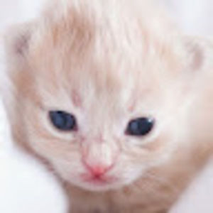 Meet your Posher, Swati